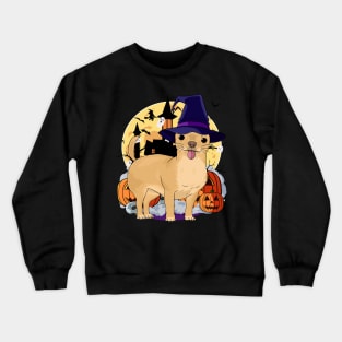 Chihuahua Scary Dog Halloween Witch Pumpkin Crewneck Sweatshirt